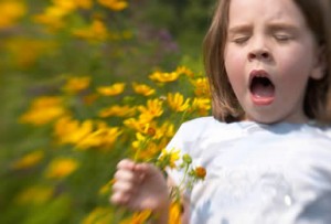 Allergie au pollen : les traitements préventifs