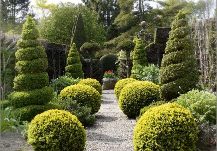 Exemple d'aménagement de jardin topiaire à la française