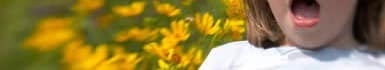 Allergie au pollen : les traitements préventifs