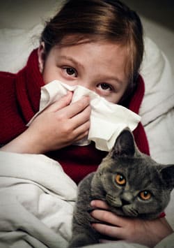 Comment contrôler les symptômes de son allergie au chat?