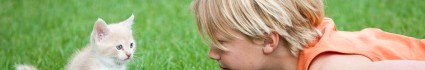 L&rsquo;allergie au chat chez l&rsquo;enfant