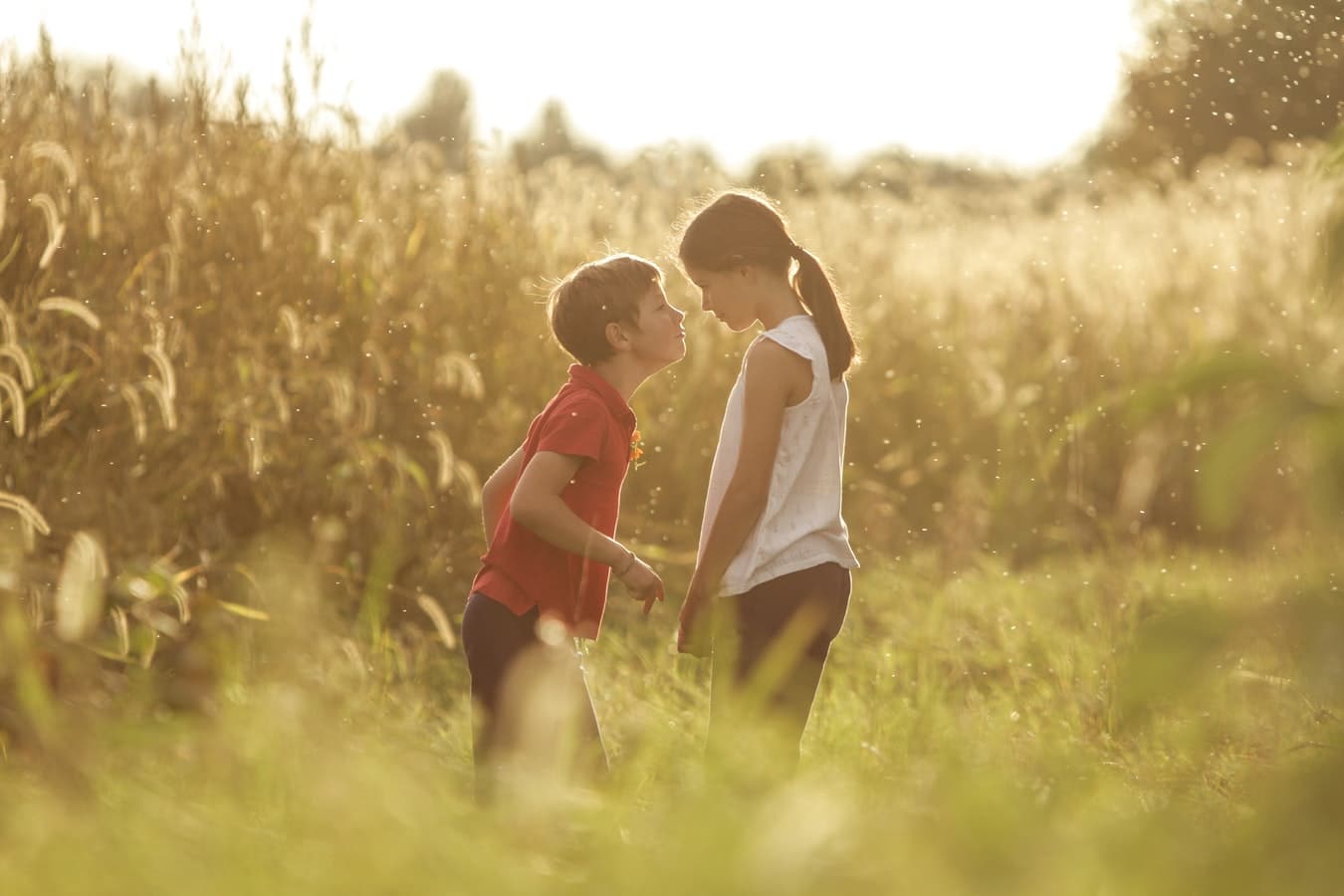 Enfants qui jouent dans un jardin rempli de pollen